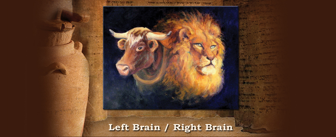 Left Brain / Right Brain