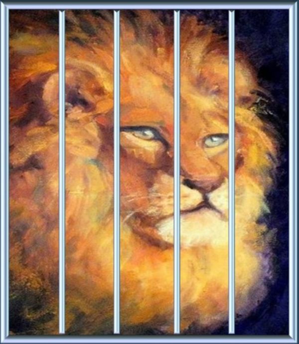 Release Your-LION Membership